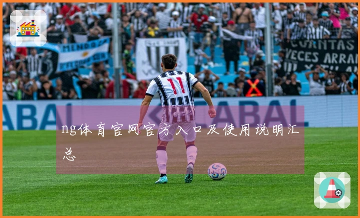ng体育官网官方入口及使用说明汇总