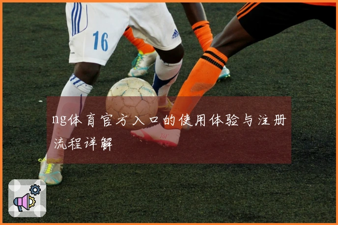 ng体育官方入口的使用体验与注册流程详解