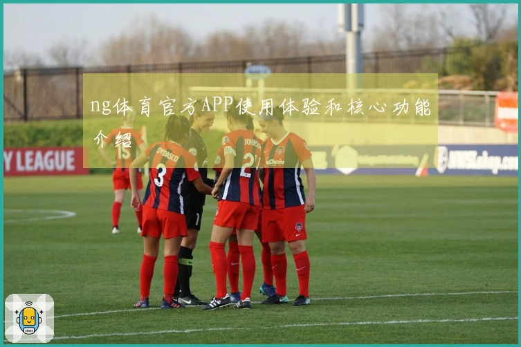 ng体育官方APP使用体验和核心功能介绍