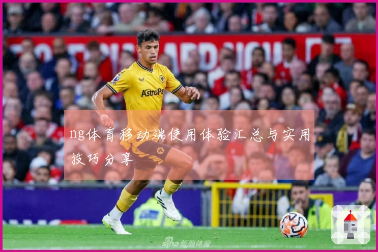 ng体育移动端使用体验汇总与实用技巧分享