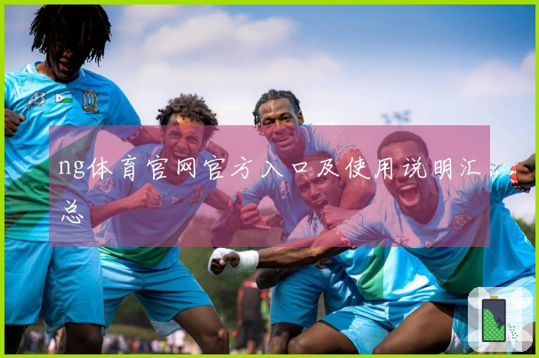 ng体育官网官方入口及使用说明汇总