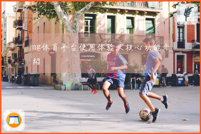ng体育平台使用体验及核心功能介绍